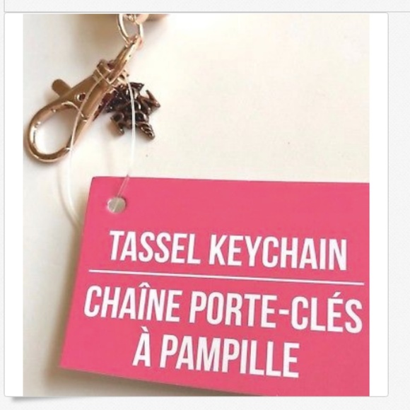 RN Caduceus Nursing Keychain Purse Charm Tassel Nurse Graduation Gift - Picture 5 of 7